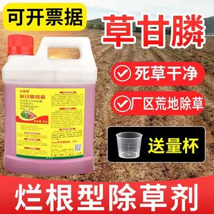 草甘磷除草烂根剂一扫光强力杀草剂草甘膦铵盐果园杂草农药 正品