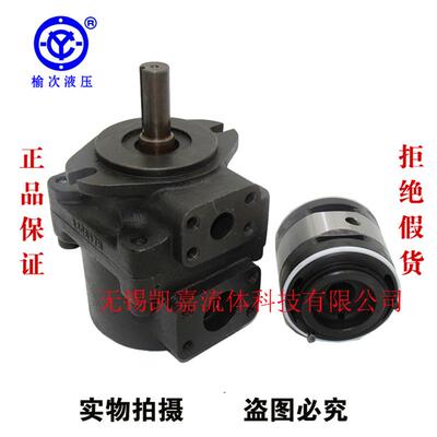 新款阿托斯双联叶片泵PFED-43070/36 43070/44 43085/16 22 2包邮