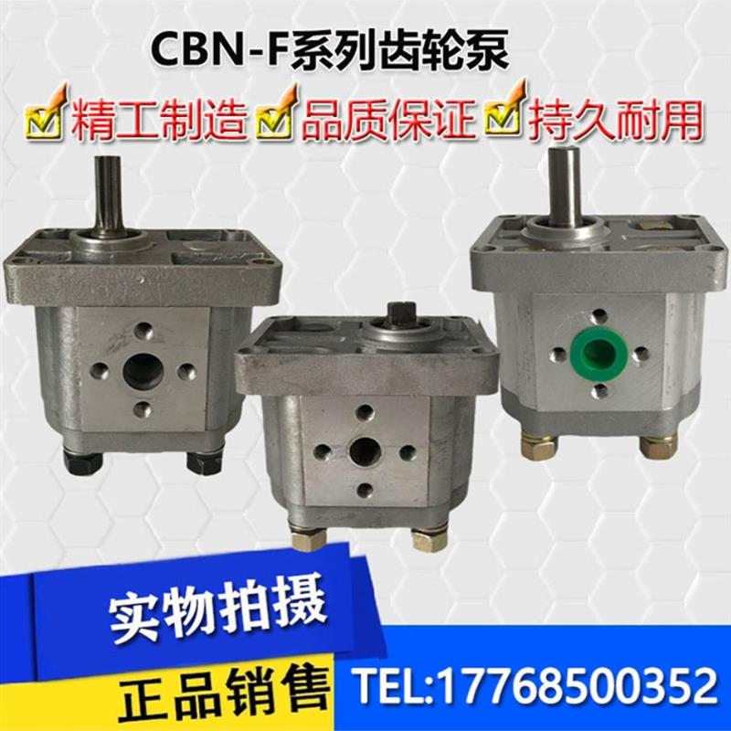 新款液压油泵齿轮泵CBN-E316 CBN-E310 CBN-E306 E320 E3包邮