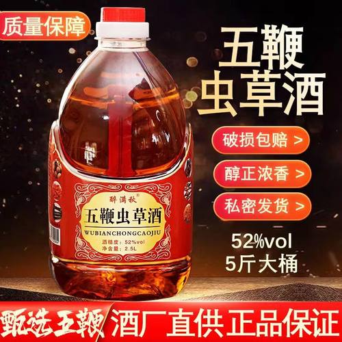 正宗养生酒五鞭虫草酒鹿鞭酒人参酒52度男士养生配制滋补酒大补药