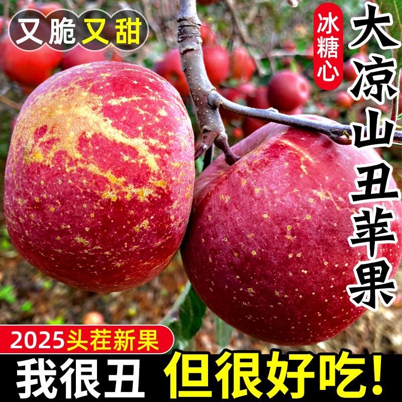 正宗大凉山丑苹果9斤新鲜水果当季四川冰糖心苹果红富士整箱包邮