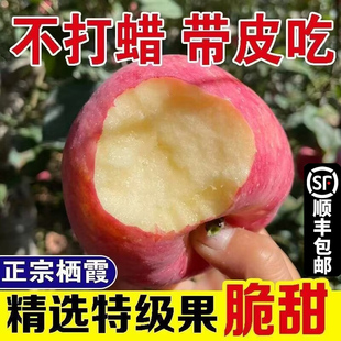 顺丰包邮苹果水果新鲜当季整箱山东烟台栖霞红富士苹果10斤脆甜A