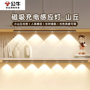公牛智能感应橱柜灯带无线自粘入户门玄关鞋柜进门充电led灯条