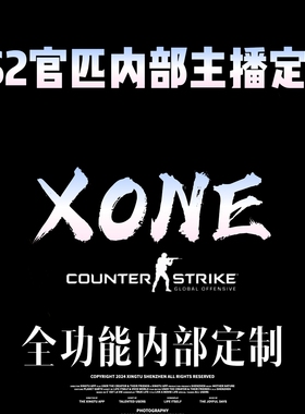 cs2官匹高端全功能演技参数换肤教学辅助不可完美 5E账号鼠标宏