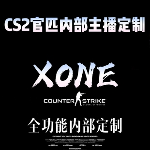 cs2官匹高端全功能演技参数换肤教学辅助不可完美 5E账号鼠标宏