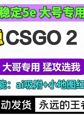 CS2/R0/5e/完美/官匹/ai吸附/小地图雷达红点/主播同款辅助上分工