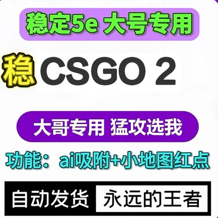 CS2/R0/5e/完美/官匹/ai吸附/小地图雷达红点/主播同款辅助上分工