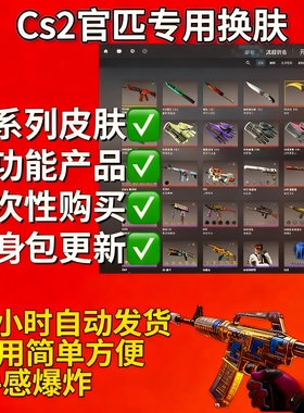 csgo2换肤cs2皮肤修改器终身包更新包售后稳定入库送小号