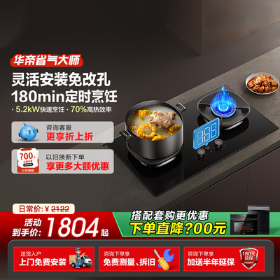 Vatti/华帝i10309D家用双灶