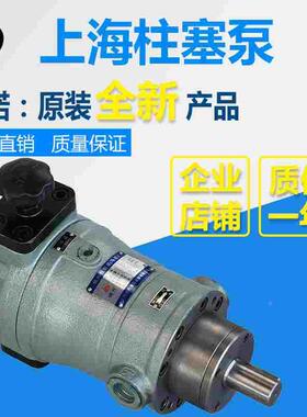 10SCY/25SCY/40SCY/63SCY/80SCY/100SCY/160SCY14-1B上海柱塞油泵