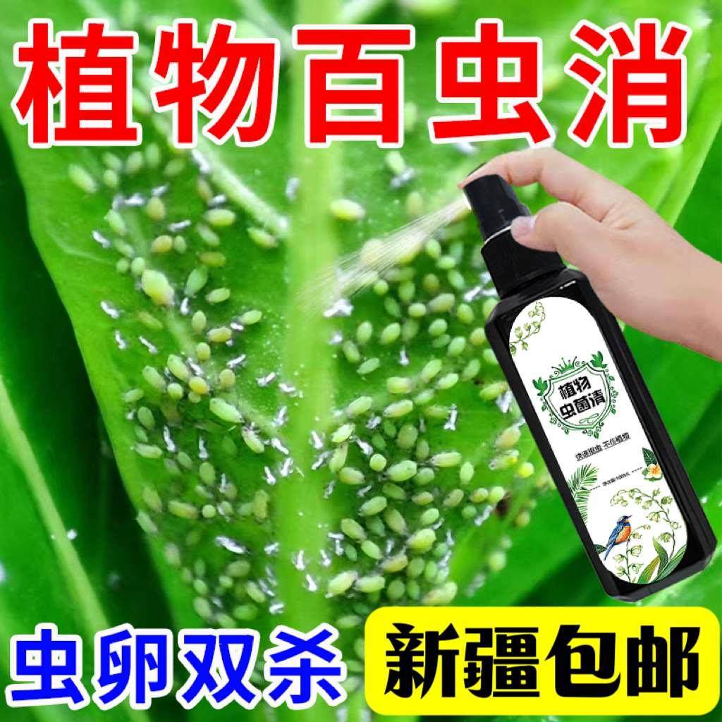 新疆包邮杀虫剂花卉植物通用绿植多肉月季家用蚧壳虫红蜘蛛杀虫药