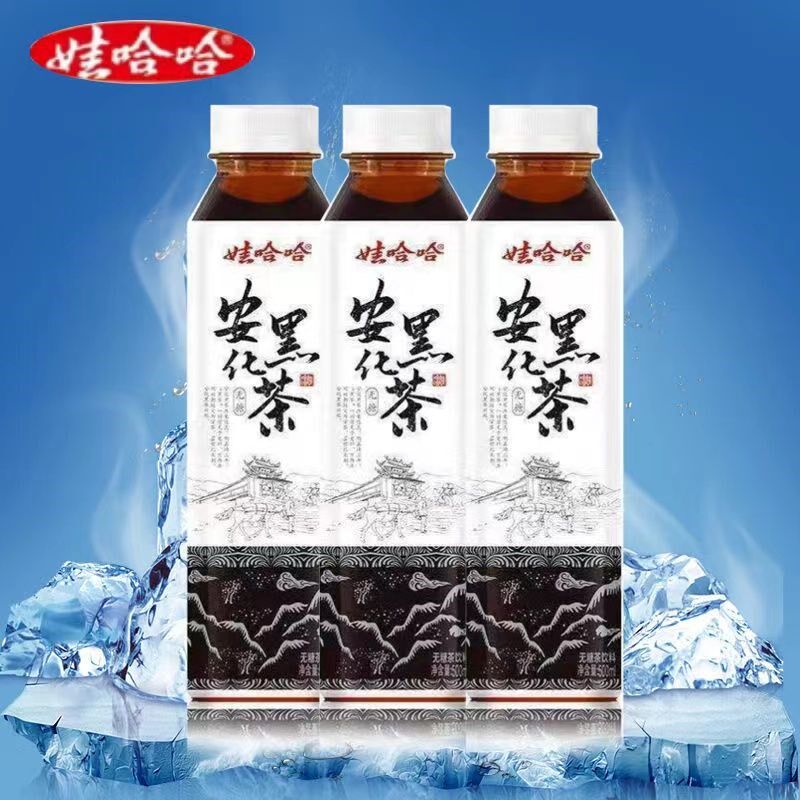【现货速发】娃哈哈无糖茶饮料500mlG/瓶正山小种安化黑茶大红袍