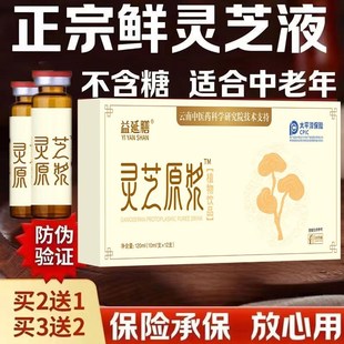 云南天大药业灵芝原浆q液托康浓缩型无糖口服液饮鲜精萃液官方正