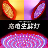 充电猪肉灯熟食卤味水果冷鲜肉夜市摆摊便携带蓄电红色夜市灯