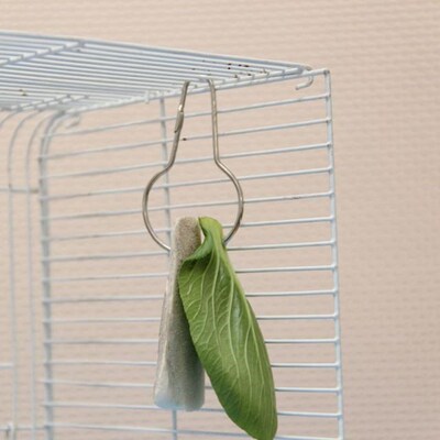 10 Pcs Parrots Birds Toys Food Cuttlefish Bone Hooks Pets Ha