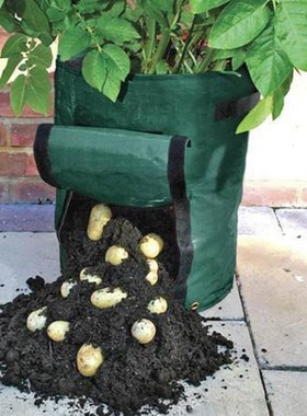Indoor Potatoes Planting Bags Home Balcony farm Vegetables F