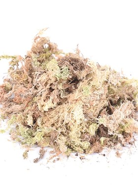 1Pack 12L Sphagnum Dry Moss  Orchid Phalaenopsis Musgo Sphag