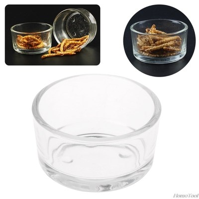New Reptile Feeder Water Food Glass Bowl Cup Lizard Turtle C