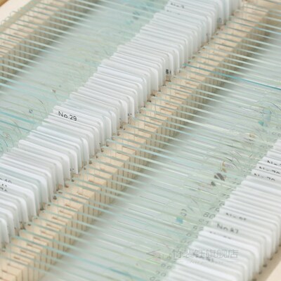 Biology 25/100 pieces prepared glass microscope slide school
