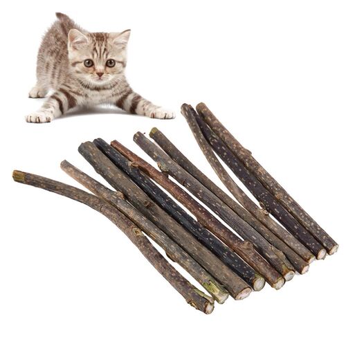 10pcs Natural nip Stick Pet  Molar Toothpaste Stick Fr