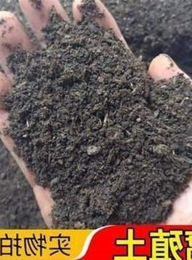 新款 Humus compost leaf rot soil family balcony potted