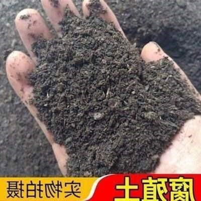 新款 Humus compost leaf rot soil family balcony potted