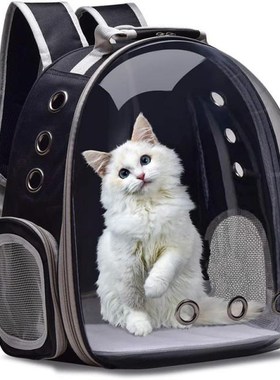 Breathable  Carrier Bags Pet Carriers Small Dog  Backp