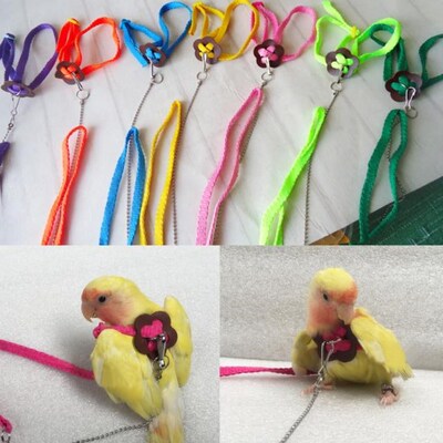 Parrot Bird Leash Outdoor Adjustable Harness Training Rope A