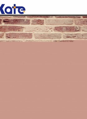 Kate red brick wall backdrops photography wood floor leaf ba