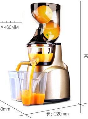Whole Slow Juicer 300W 75 cm Fruits Low Speed Juice Extracto