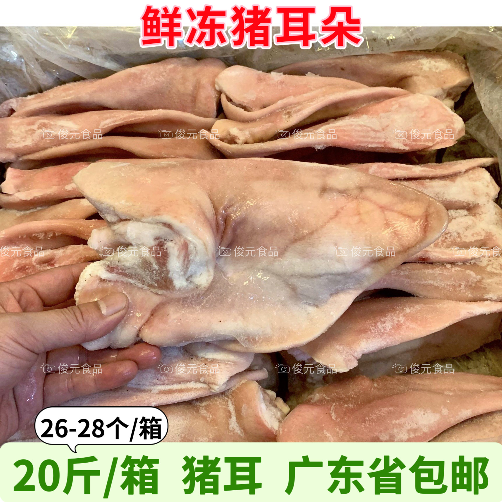 猪耳朵冷冻 猪耳猪耳片耳尖新鲜生猪耳卤菜 带根猪耳朵整箱20斤