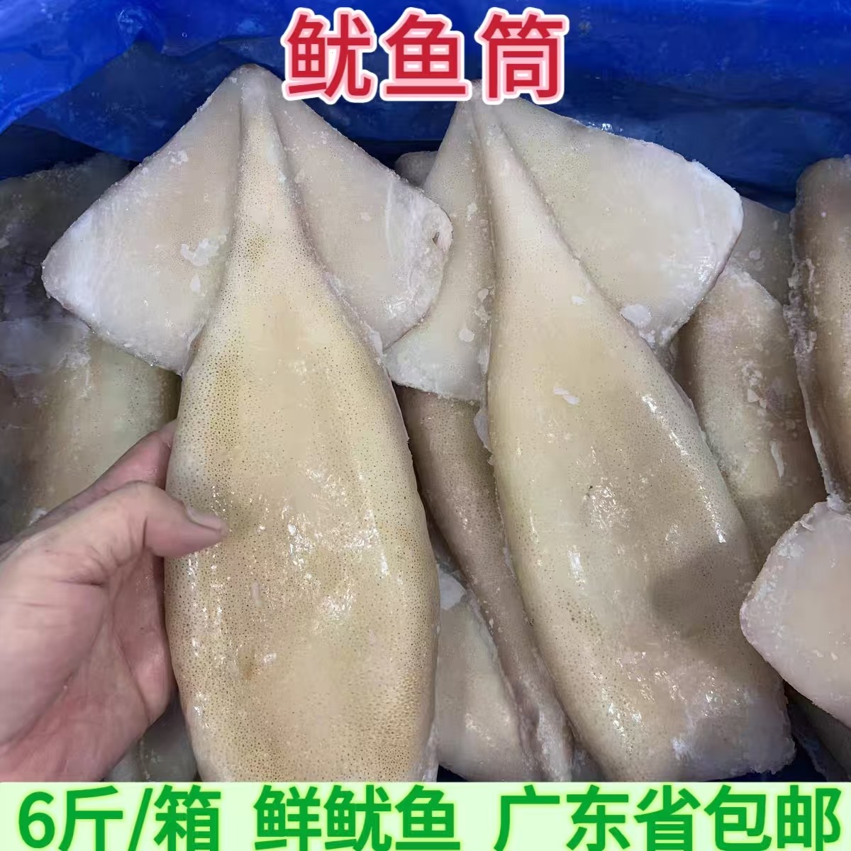 中餐铁板烧烤鱿鱼鲜鱿筒商用食材图片
