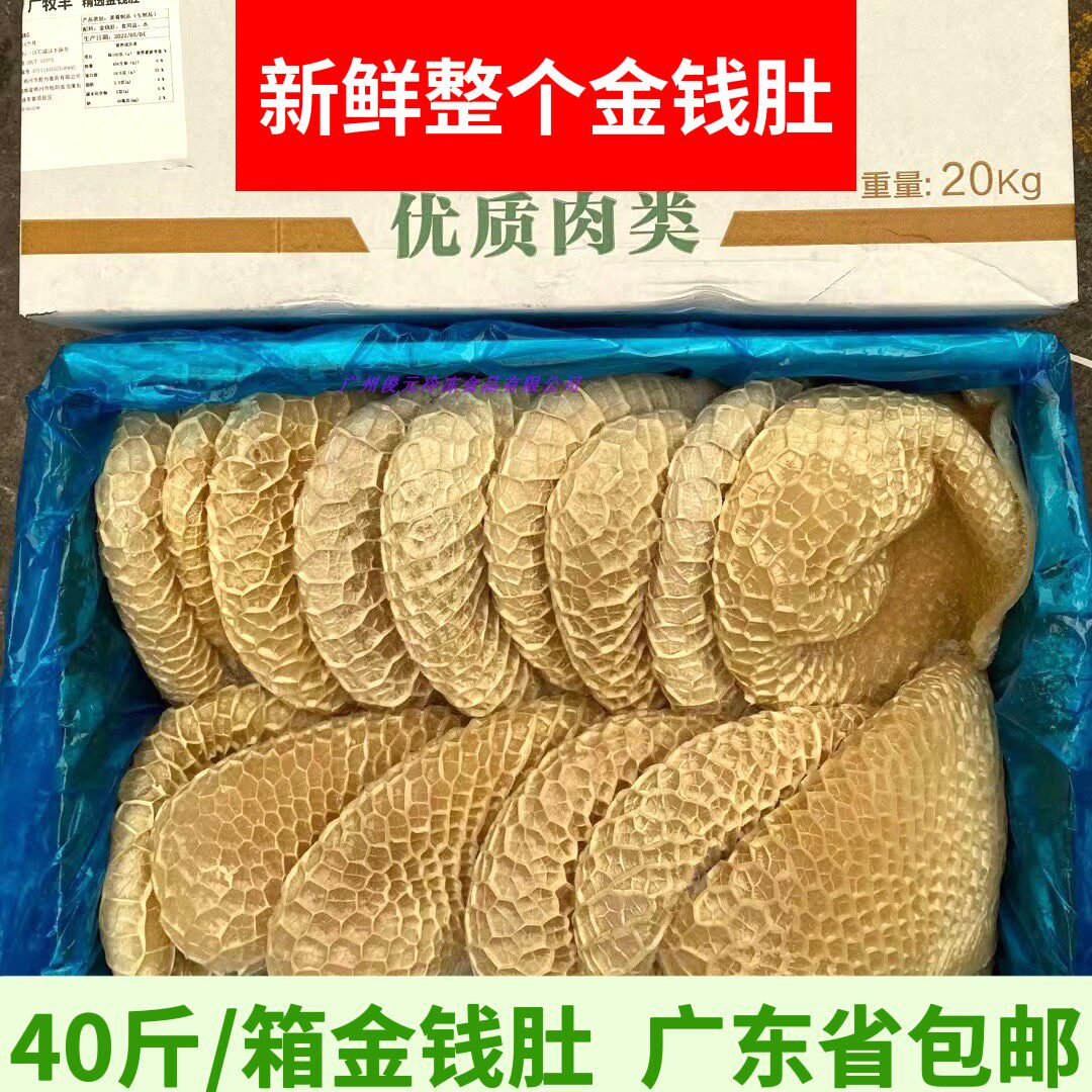 金钱肚新鲜冷冻牛肚毛肚商用半成品 鲜冻蜂窝肚生卤水火锅食材