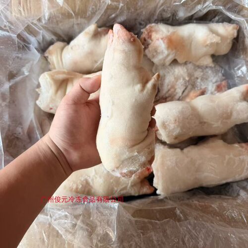 鲜猪蹄冷冻带筋前蹄卤菜商用食材