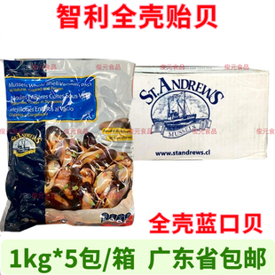 智利全壳蓝口贝 速冻贻贝紫贻贝 全壳黑口贝商用青口贝烧烤食材