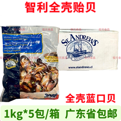 智利全壳蓝口贝紫贻贝黑青口贝