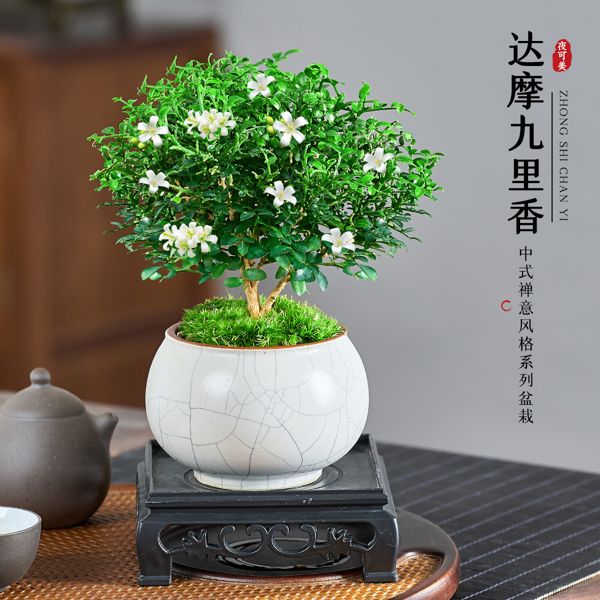 达摩九里香盆景禅意桌面盆栽室内易活花卉办公室绿植趣味茶几摆件