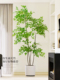 彷真绿植南天竹客厅落地假盆栽高端轻奢彷生植物大型摆件造景花树