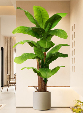 仿真植物芭蕉树叶室内客厅大型装饰摆件高级仿生绿植落地盆栽氛围