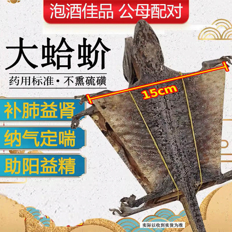 蛤 蚧芥干货中药材哈蚧大蛤+蚧酒价吤粉一对搭配人参泡酒