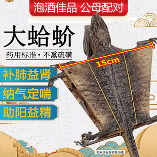 蛤 蚧酒价吤粉一对搭配人参泡酒 蚧芥干货中药材哈蚧大蛤