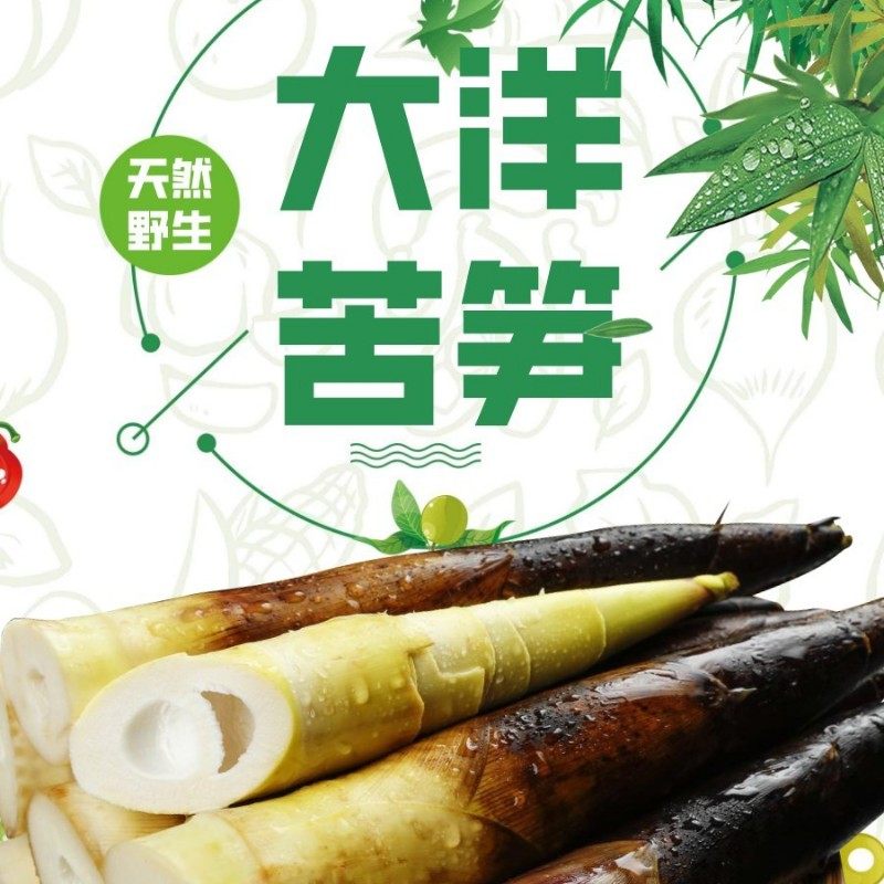 大洋天然野生苦笋【官方旗舰店】图片