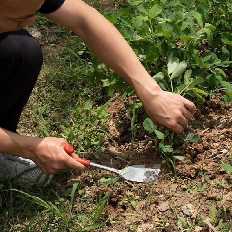 挖野菜铲子挖土专用挖蒜小铁铲种菜挖菜神器户外园艺除草工具拔*