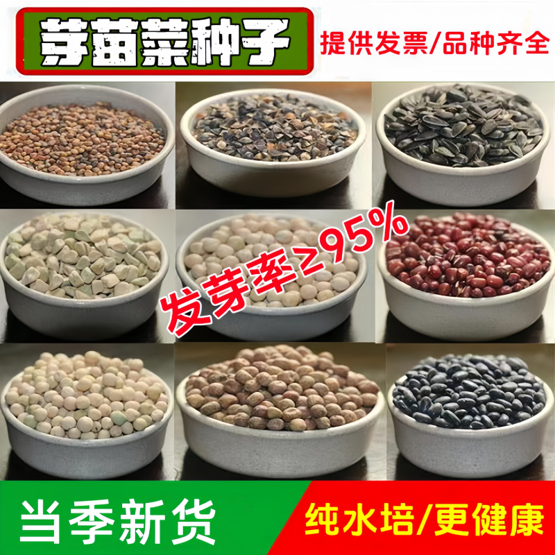 芽苗菜种子豆芽菜籽水培蔬菜种子