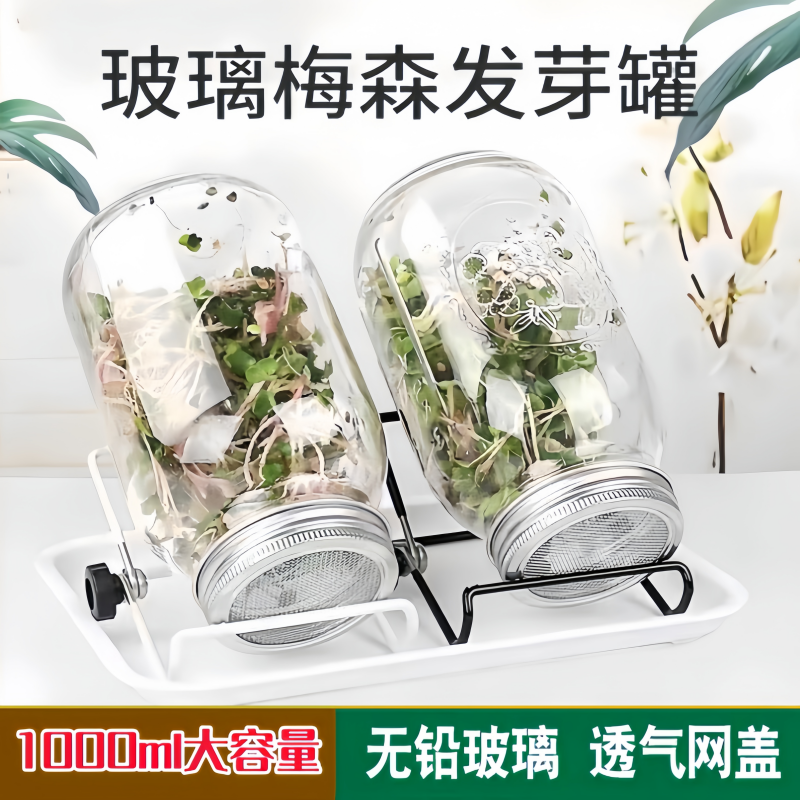 家用梅森玻璃发芽瓶水培豆芽罐
