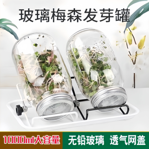 家用梅森玻璃发芽瓶水培豆芽罐