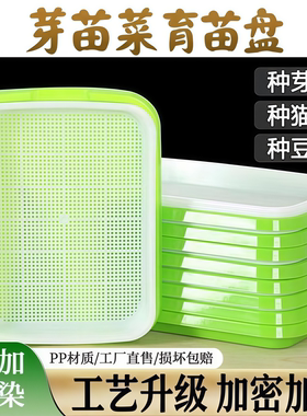 芽苗菜育苗盘水培发芽盆无土栽培