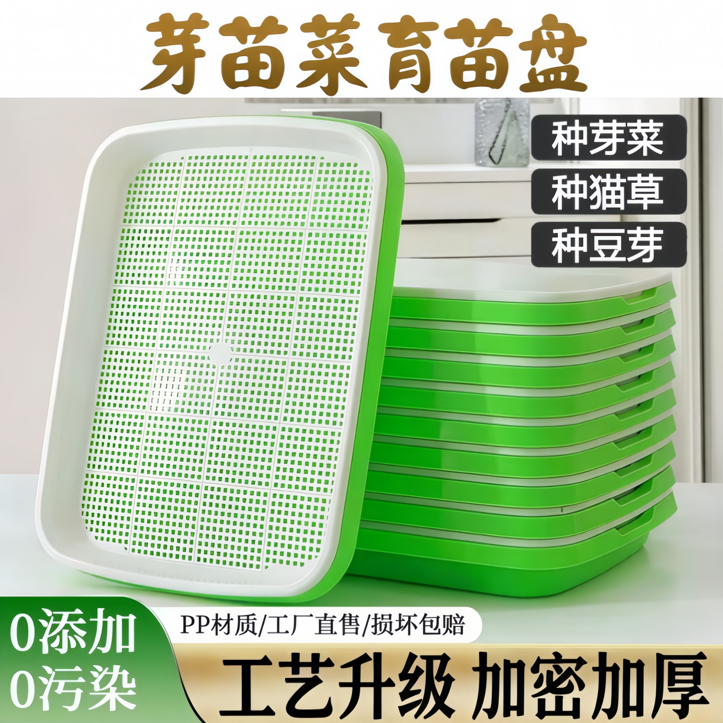 芽苗菜育苗盘豆芽种植盘加密豆苗盘种猫草水培发芽盆种菜育苗神器