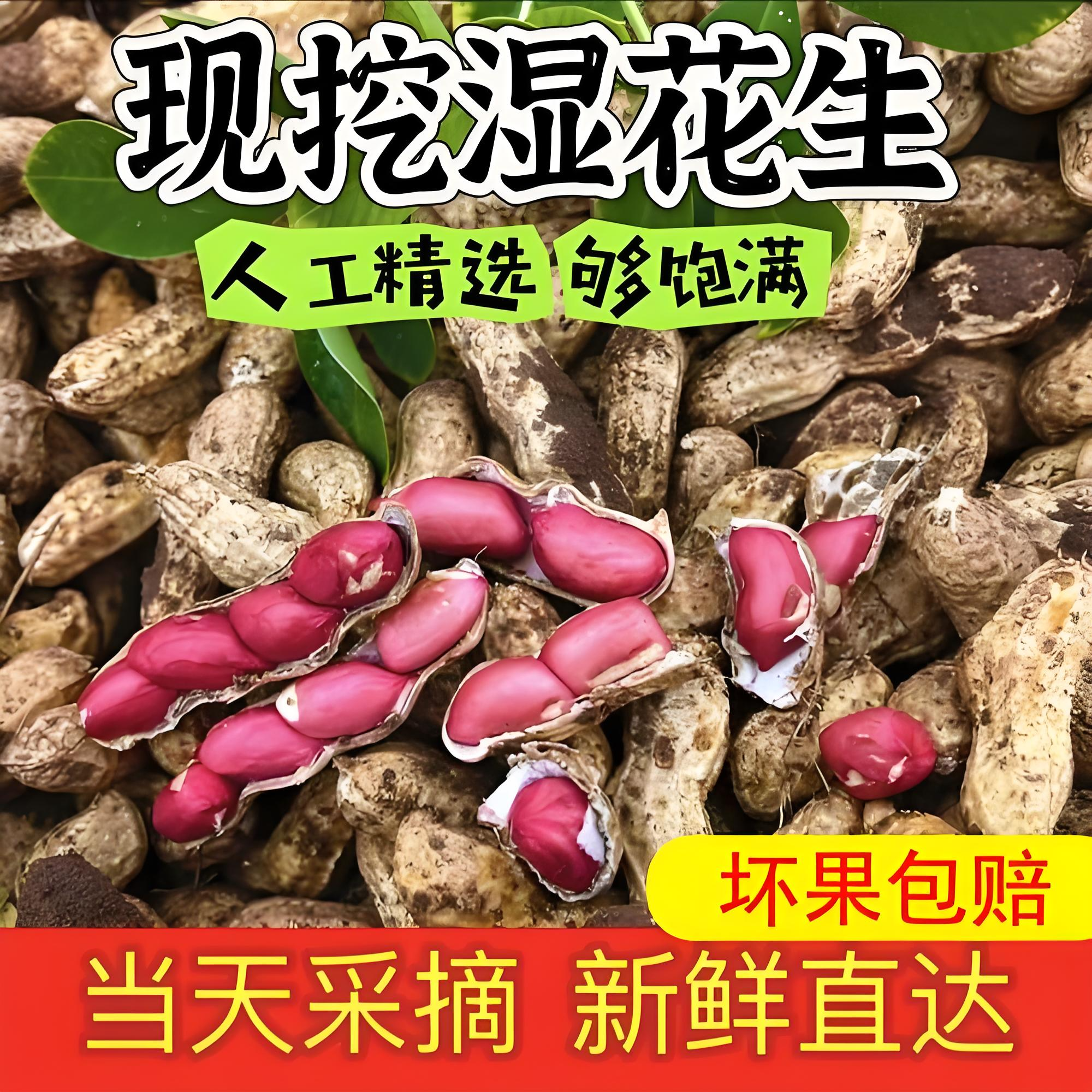 2025年新鲜生花生湿花生带壳