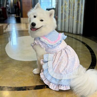 宠物春夏公主大中型犬绑带网纱裙宠物狗狗猫咪衣服萨摩耶防掉毛